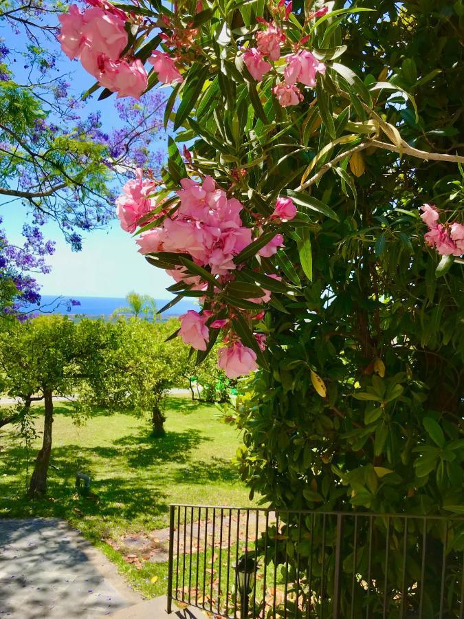 Tenuta Jacaranda Piedimonte Etneo Exterior foto